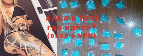 мдпв Кадников